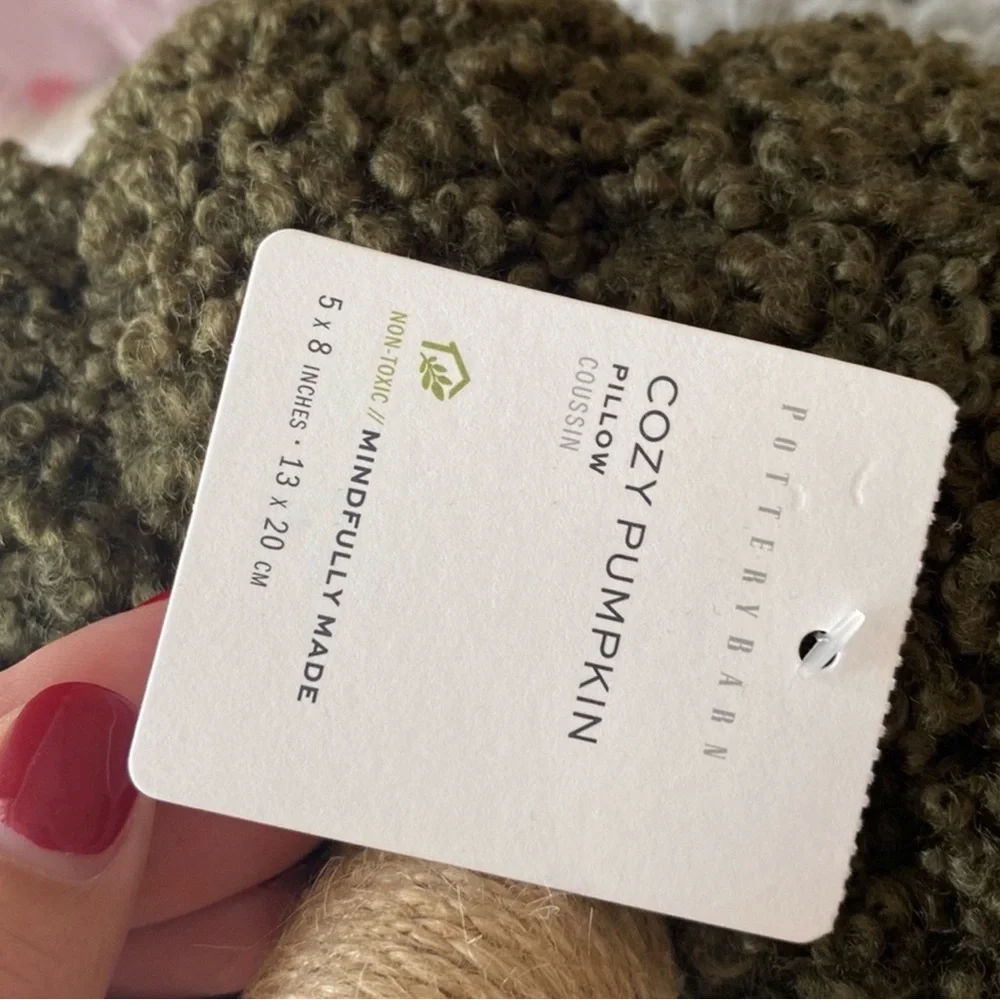 Pottery Barn Olive Green Pumpkin